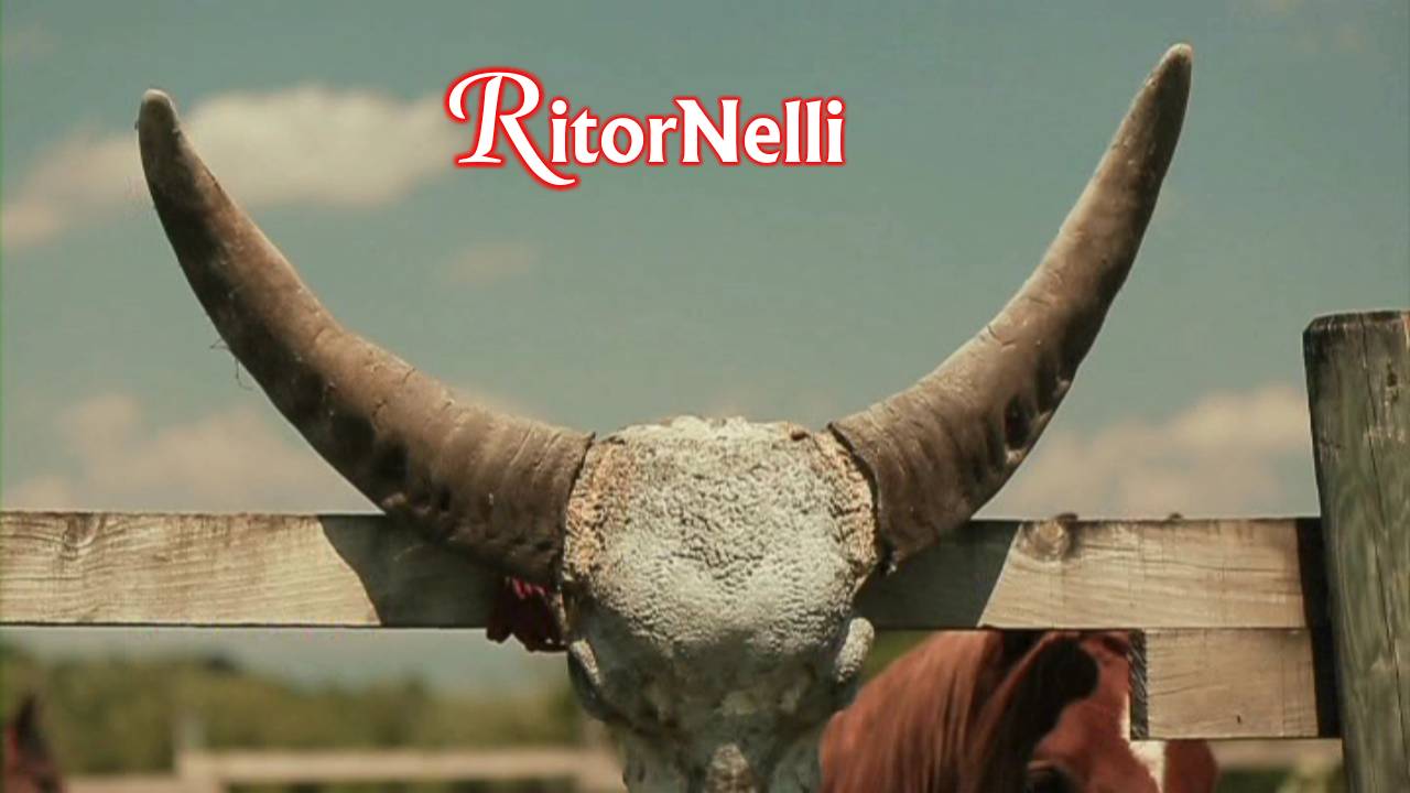 Trasmissione RitorNelli